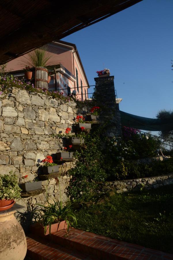 Bed and Breakfast La Gatta Sul Sentiero San Salvatore  Екстер'єр фото